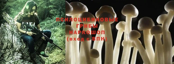соль курить ск Медвежьегорск