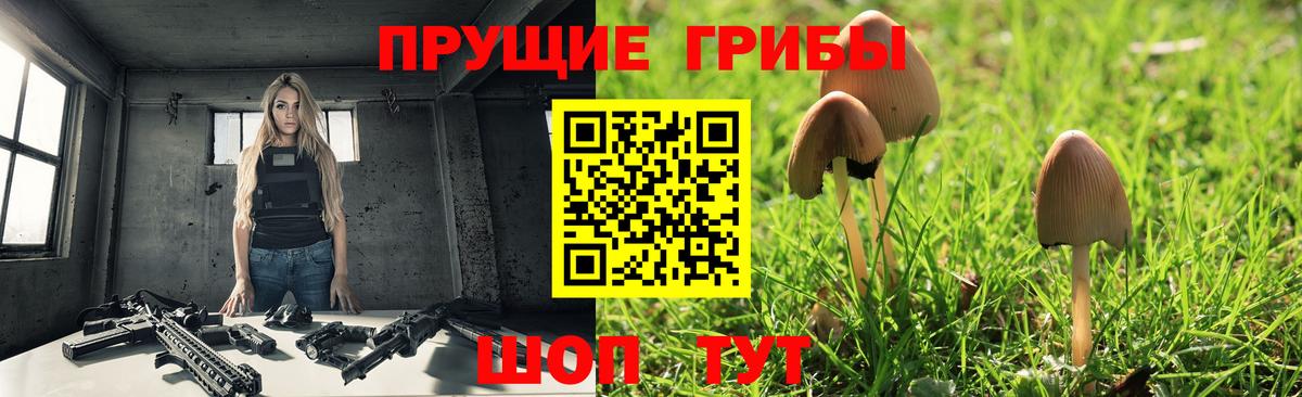 Псилоцибиновые грибы мицелий  Галлюциногенные грибы Psilocybine cubensis  Черняховск 